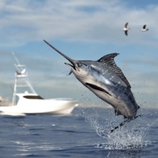 Sportfishing